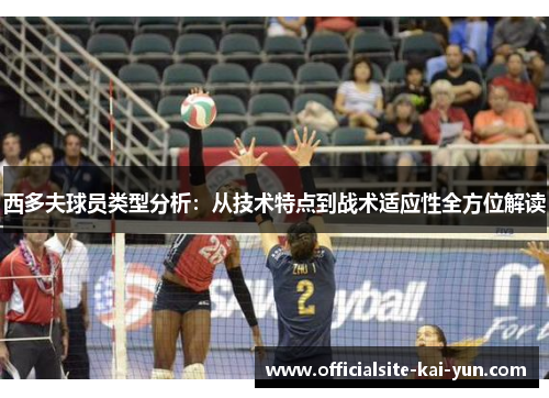 西多夫球员类型分析:从技术特点到战术适应性全方位解读 西多夫球员类型分析:从技术特点到战术适应性全方位解读