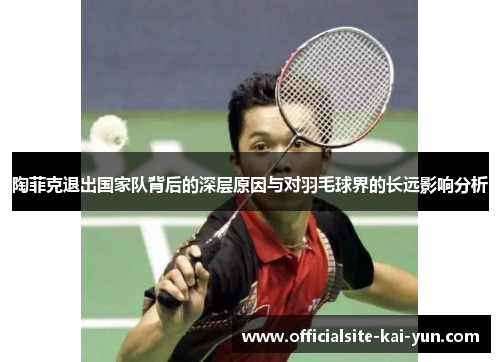陶菲克退出国家队背后的深层原因与对羽毛球界的长远影响分析